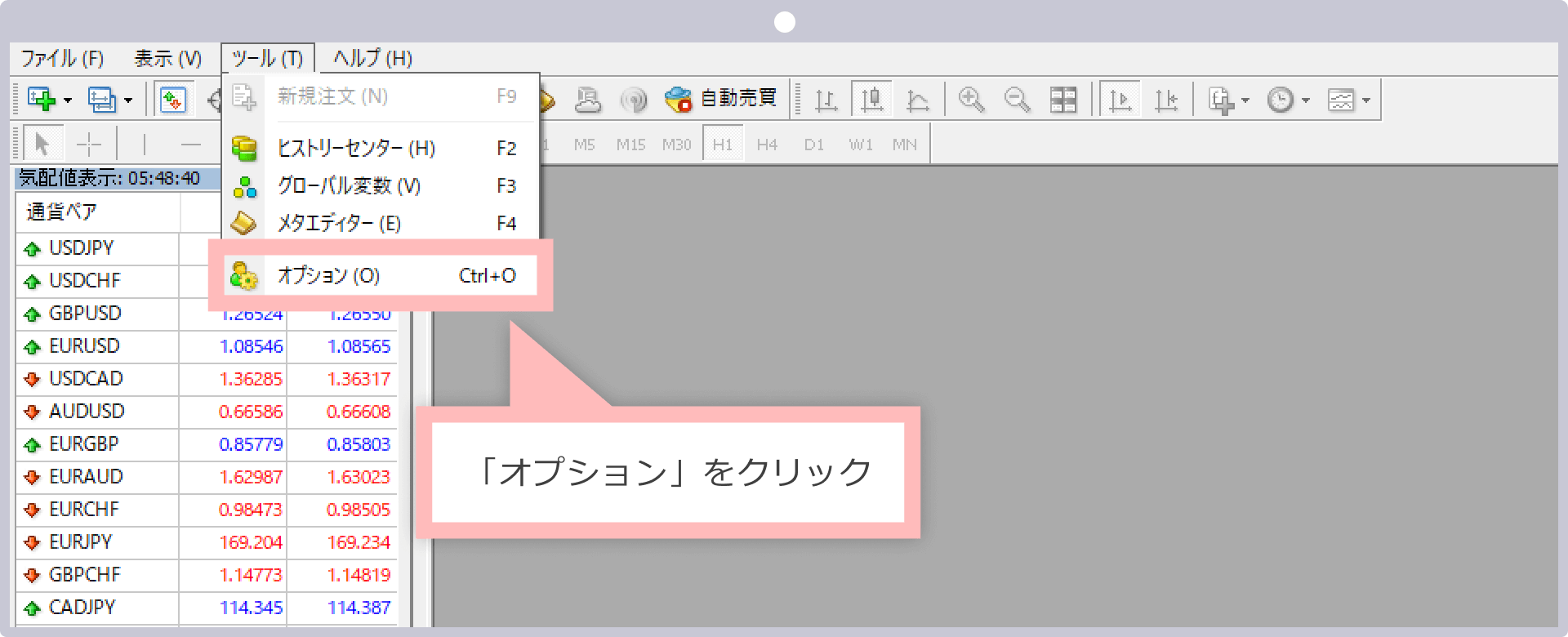 EAのオプション設定