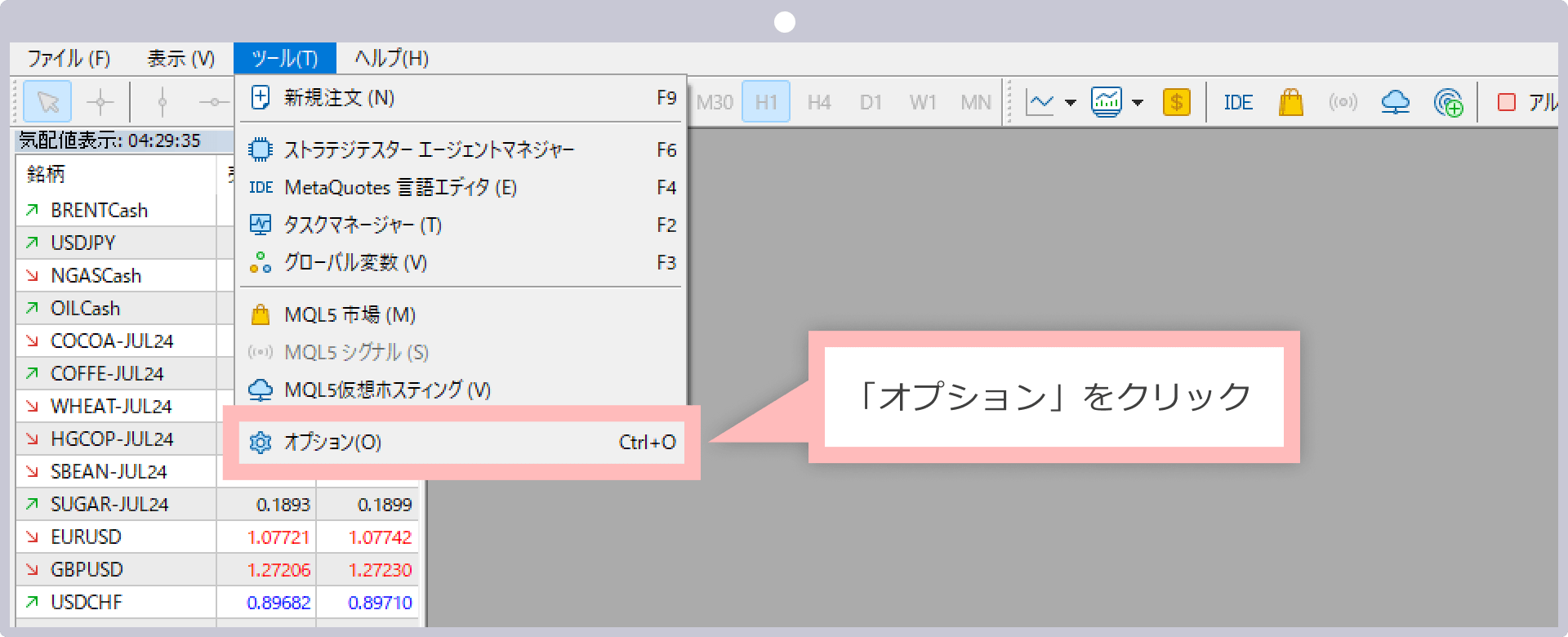 EAのオプション設定