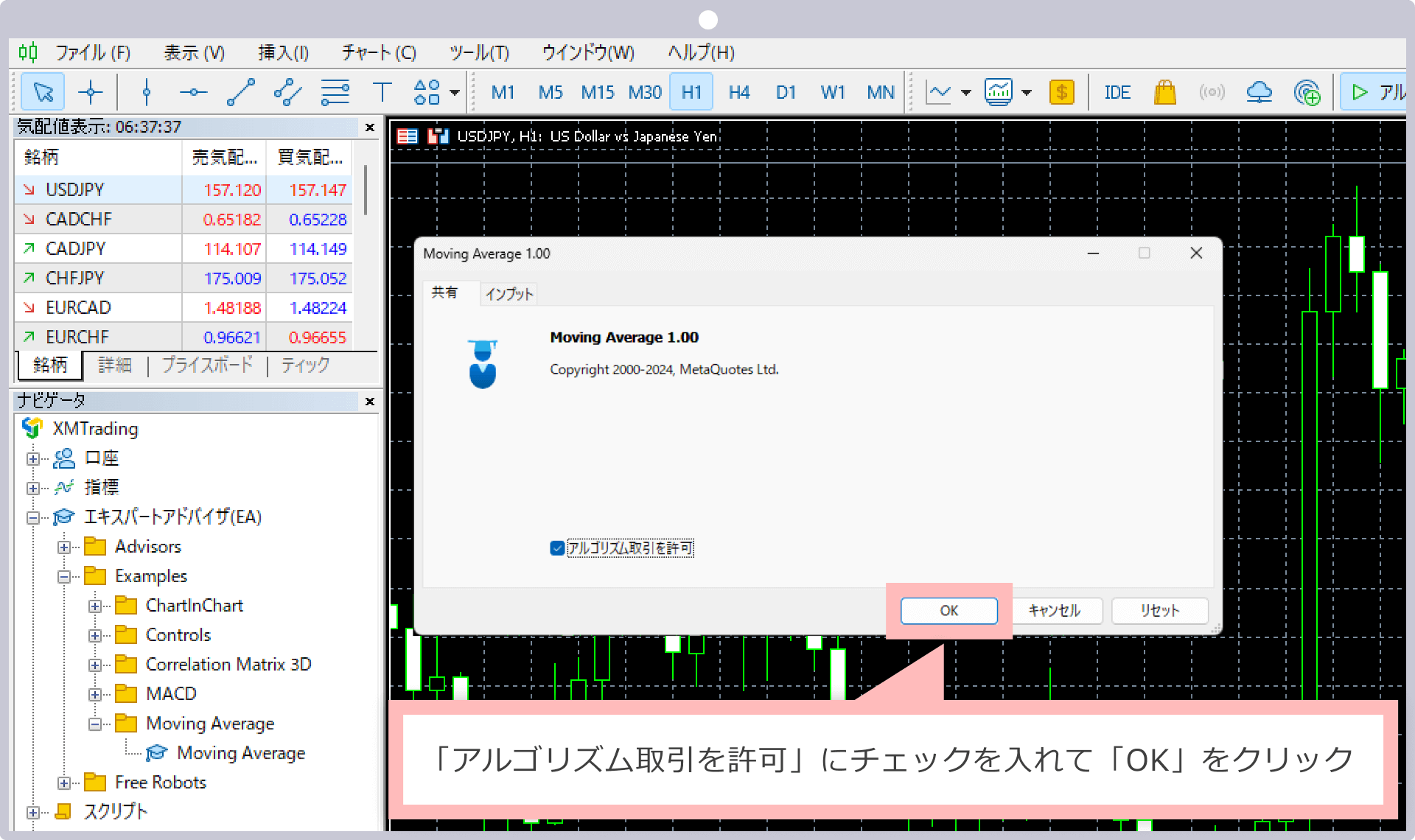 「アルゴリズム取引を許可」にチェックを入れて「OK」をクリック