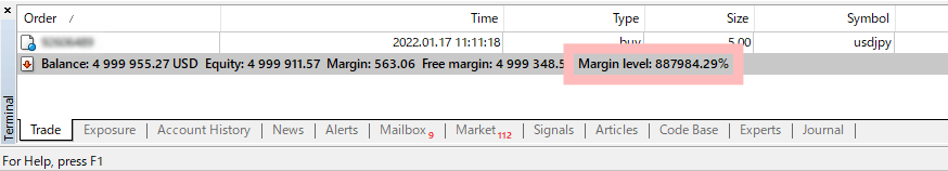 What is margin call and loss cut?