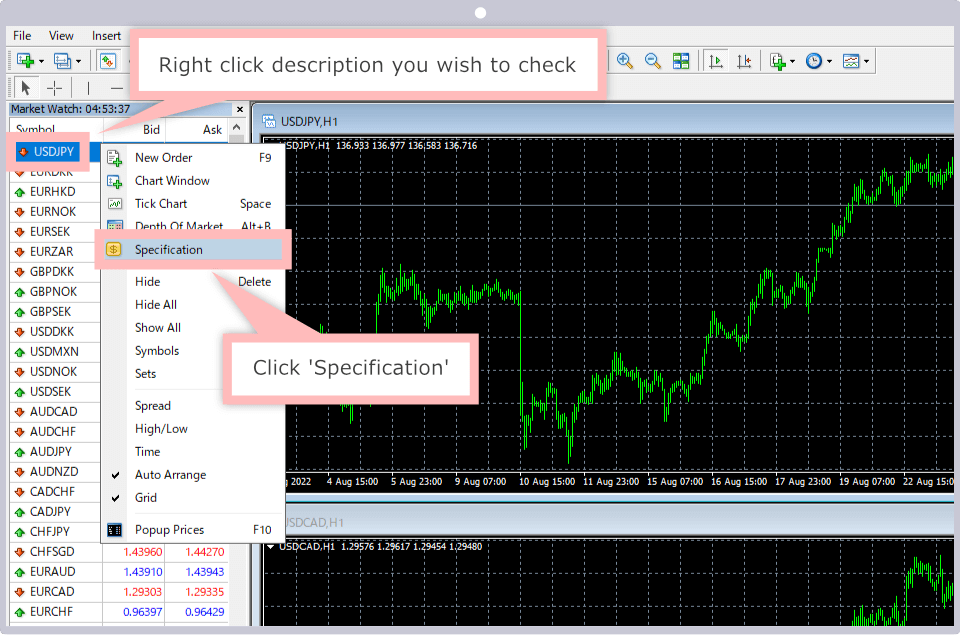 How to check the trading conditions on MT4/MT5