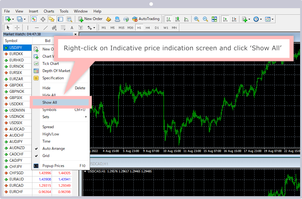 right-click on Indicative price indication screen and click 'Show all