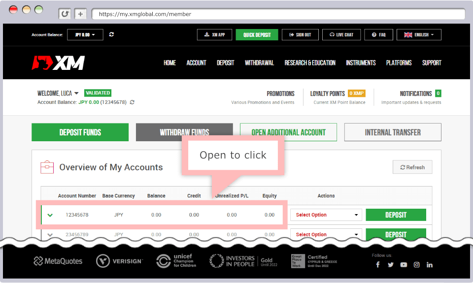 click Overview of My Accounts button