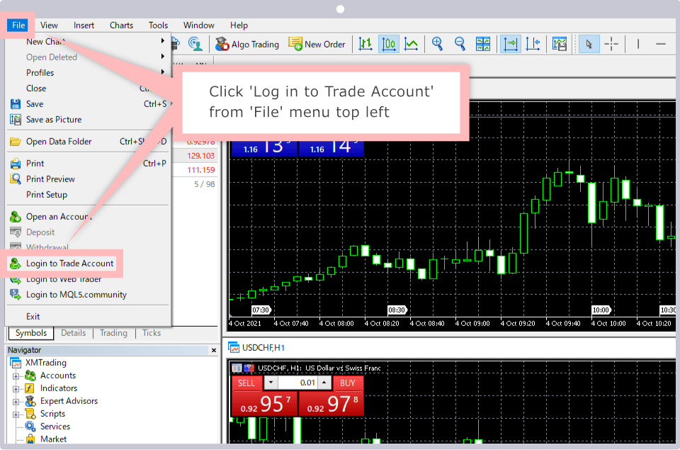 Click 'Log in to Trading Account
